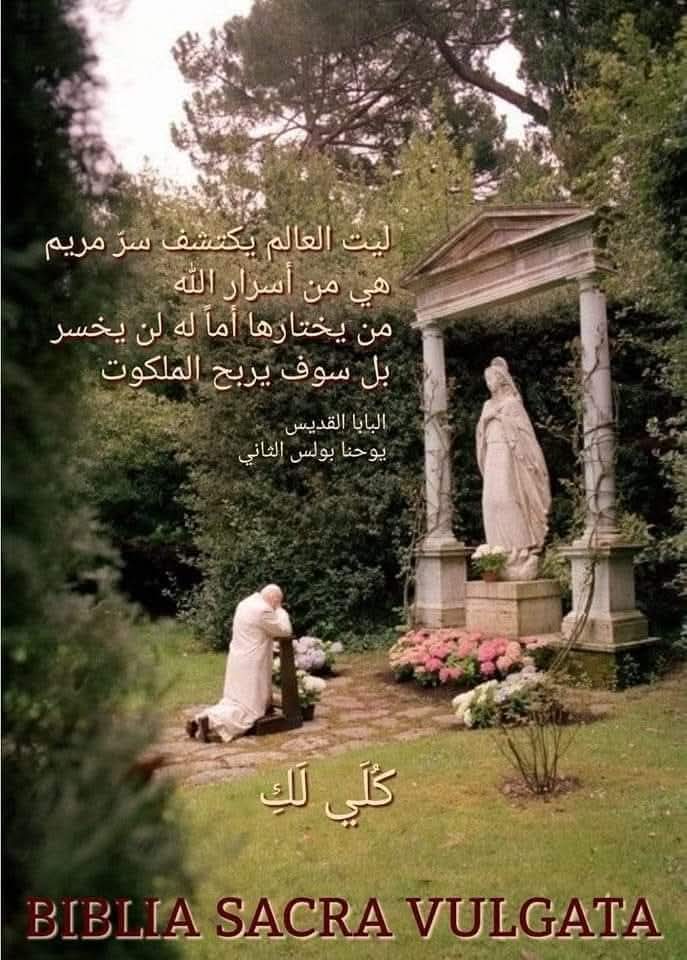 FB_IMG_1748710870926.jpg
