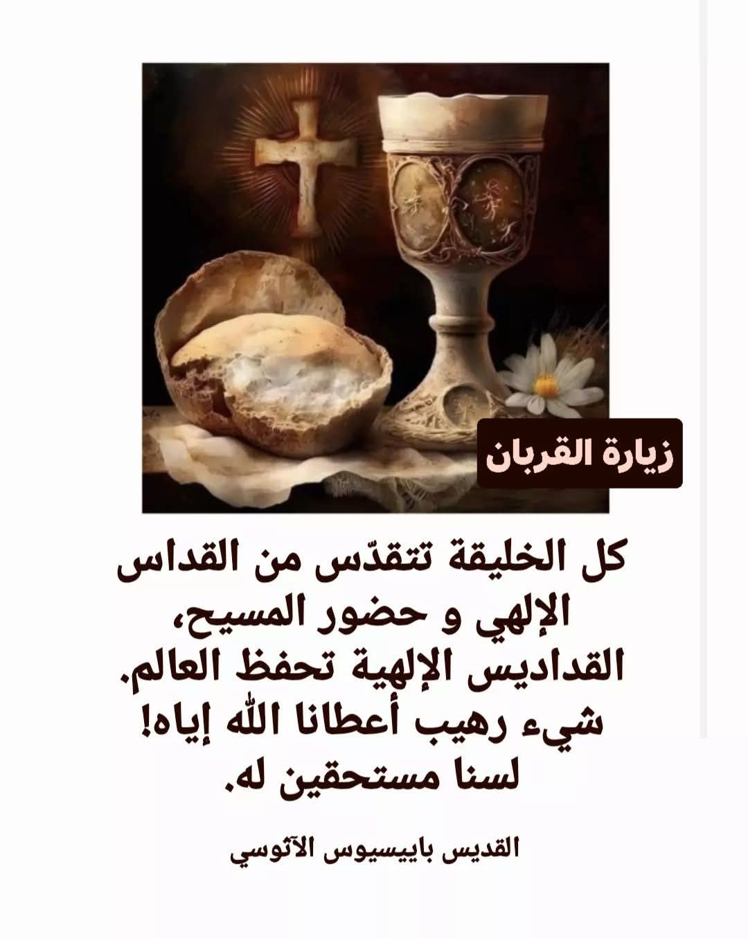 FB_IMG_1759940068733.jpg