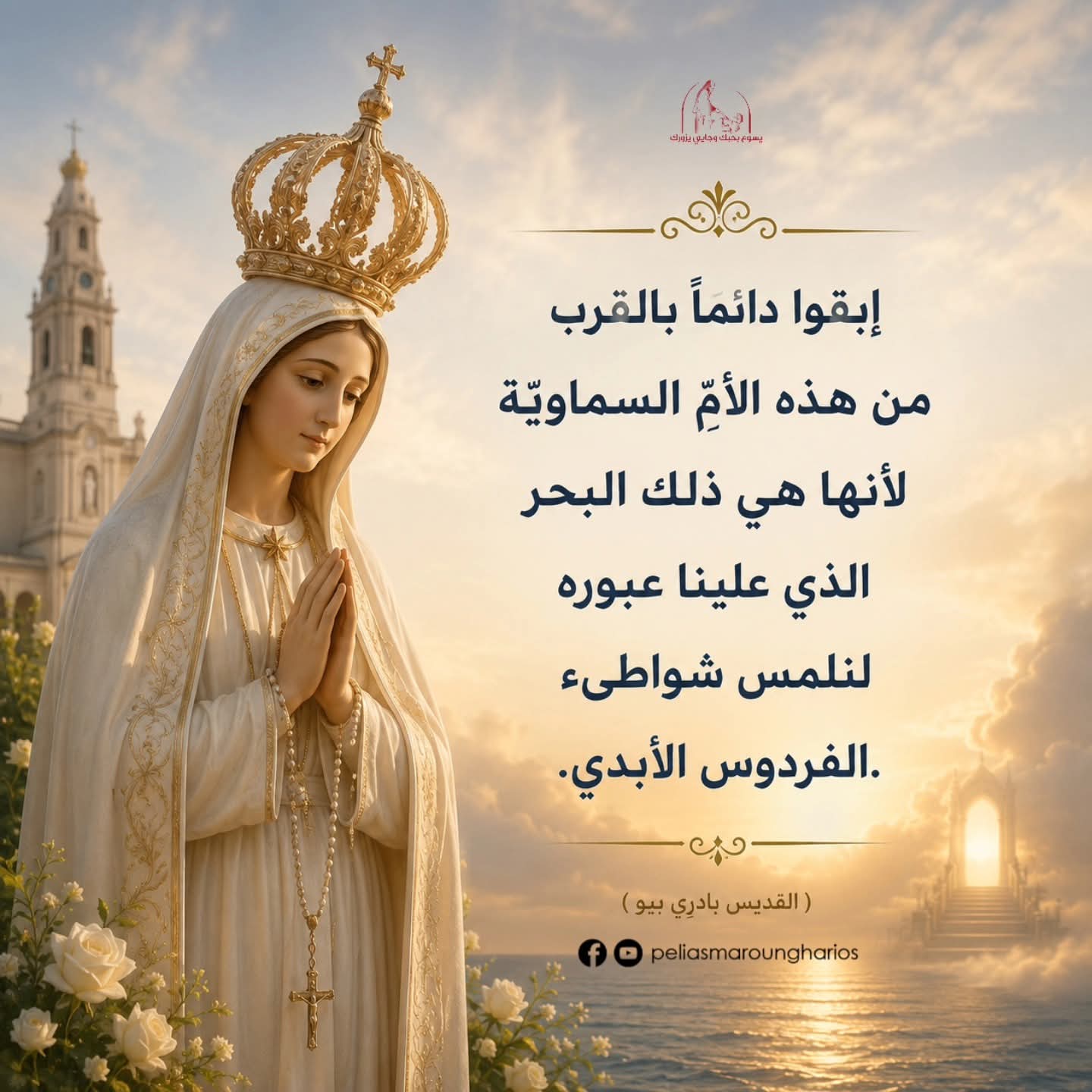 FB_IMG_1778834839577.jpg