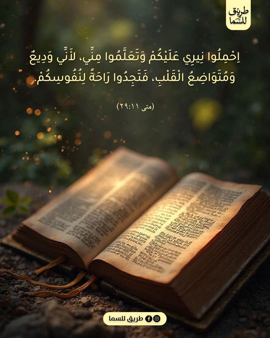 FB_IMG_1780338007140.jpg