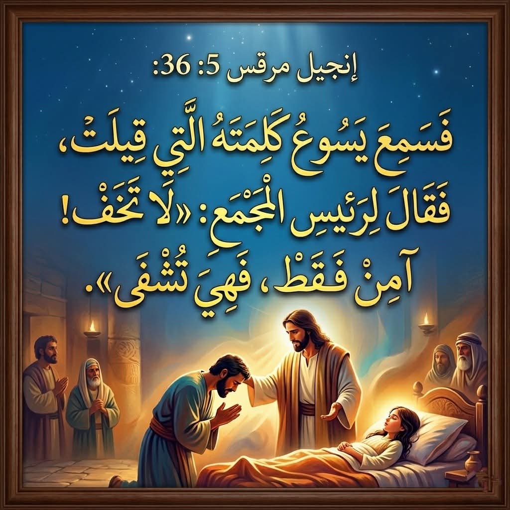 FB_IMG_1781459996769.jpg