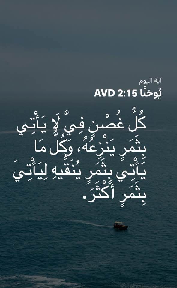 FB_IMG_1782975224401.jpg