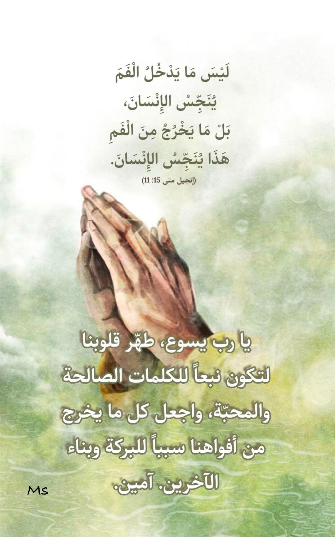 FB_IMG_1785952746321.jpg