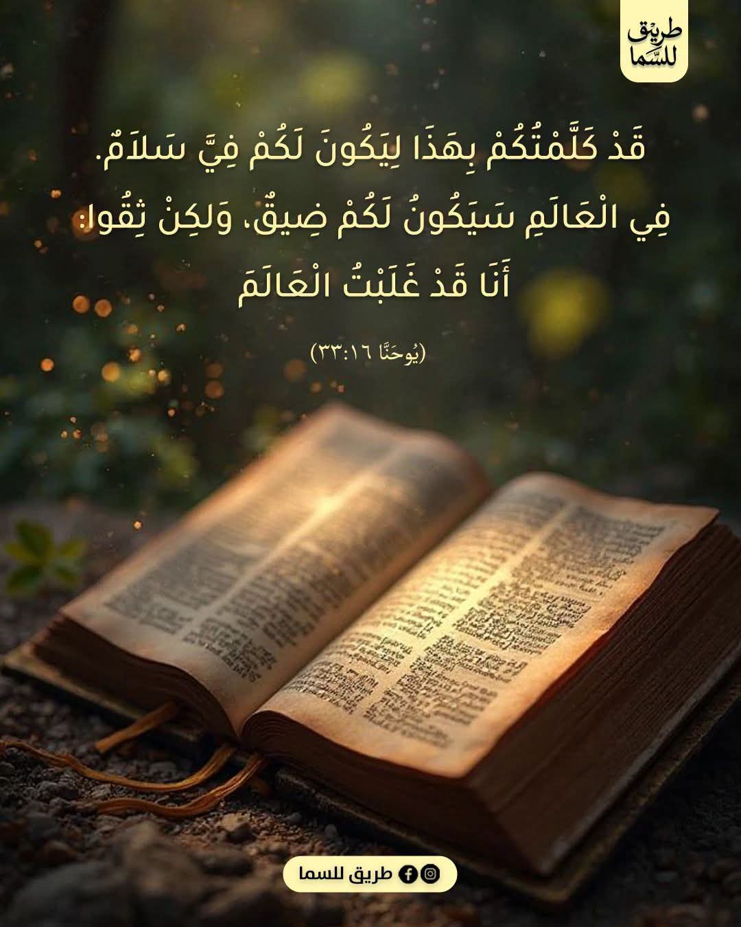 FB_IMG_1786805643272.jpg
