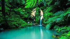 azores-waterfall-oasis-forest-portugal-landscape-flow-island-mountain.jpg