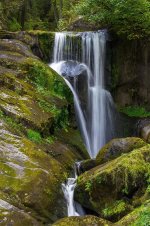 waterfall-forest-water-flow-nature-waterfalls-triberg-small-waterfall-black-forest.jpg