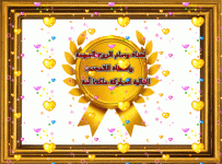 IMG_2082.gif IMG_2082.gif