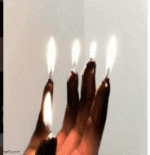IMG_2400.gif