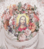 IMG_2456.gif