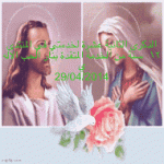 IMG_2464.gif IMG_2464.gif