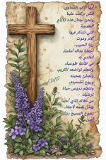 FB_IMG_1775114078042.jpg
