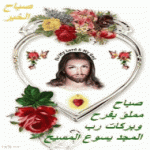 IMG_2593.gif