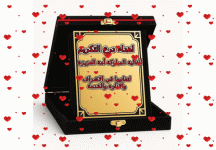 IMG_2616.gif
