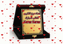 IMG_2625.gif