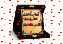 IMG_2628.gif