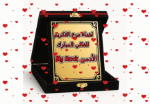 IMG_2627.gif