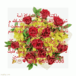 IMG_2660.gif