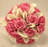 IMG_2658.gif