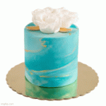 IMG_2691.gif