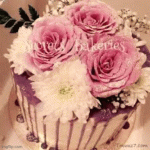 IMG_2701.gif