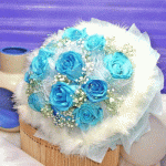 IMG_2697.gif