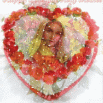IMG_2724.gif