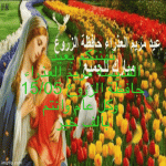 IMG_2740.gif
