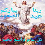 IMG_2756.gif