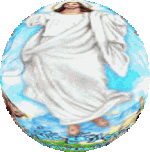 IMG_2759.gif