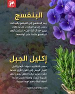 FB_IMG_1778567325581.jpg