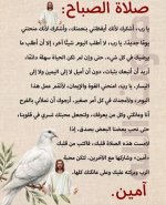 FB_IMG_1778598447329.jpg