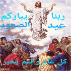 IMG_2766.gif