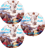 IMG_2769.gif