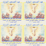 IMG_2774.gif