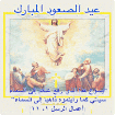 IMG_2775.gif