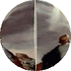 IMG_2779.gif