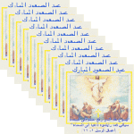 IMG_2783.gif