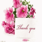 IMG_2784.gif