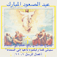 IMG_2792.gif