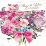 IMG_2804.gif