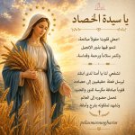 FB_IMG_1778834830097.jpg