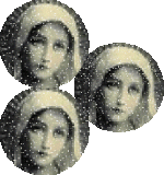 IMG_2821.gif