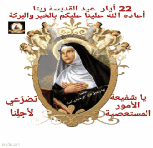 IMG_2838.gif