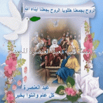 IMG_2855.gif