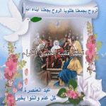 IMG_2856.gif