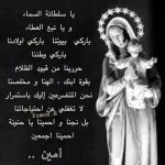 FB_IMG_1779978334969.jpg