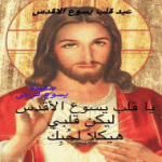 IMG_2936.gif