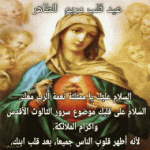 IMG_2942.gif