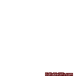 IMG_2946.gif