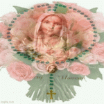 IMG_2991.gif
